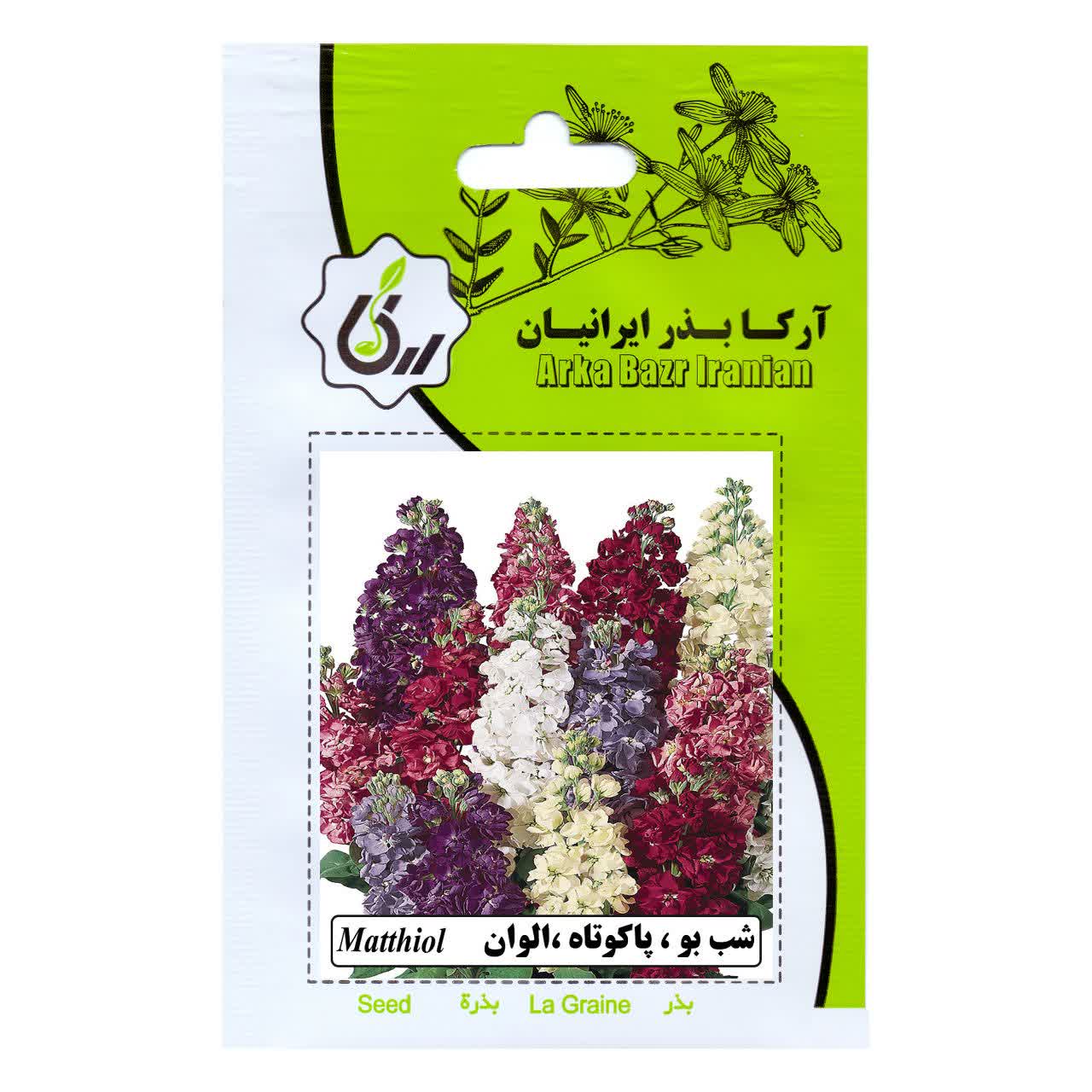 بذر گل شب بو ، پاکوتاه ، الوان
