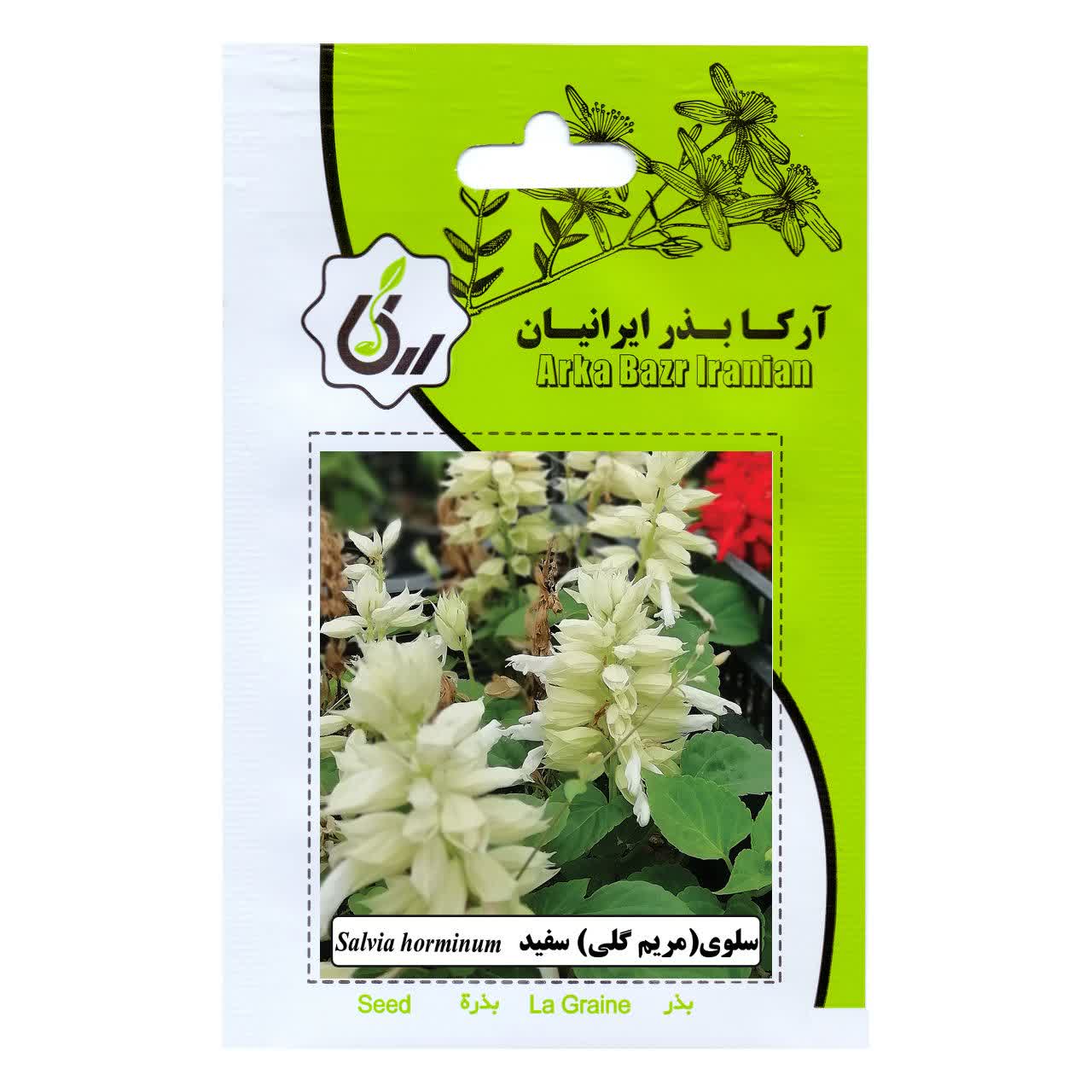 بذر گل سلوی مریم گلی سفید