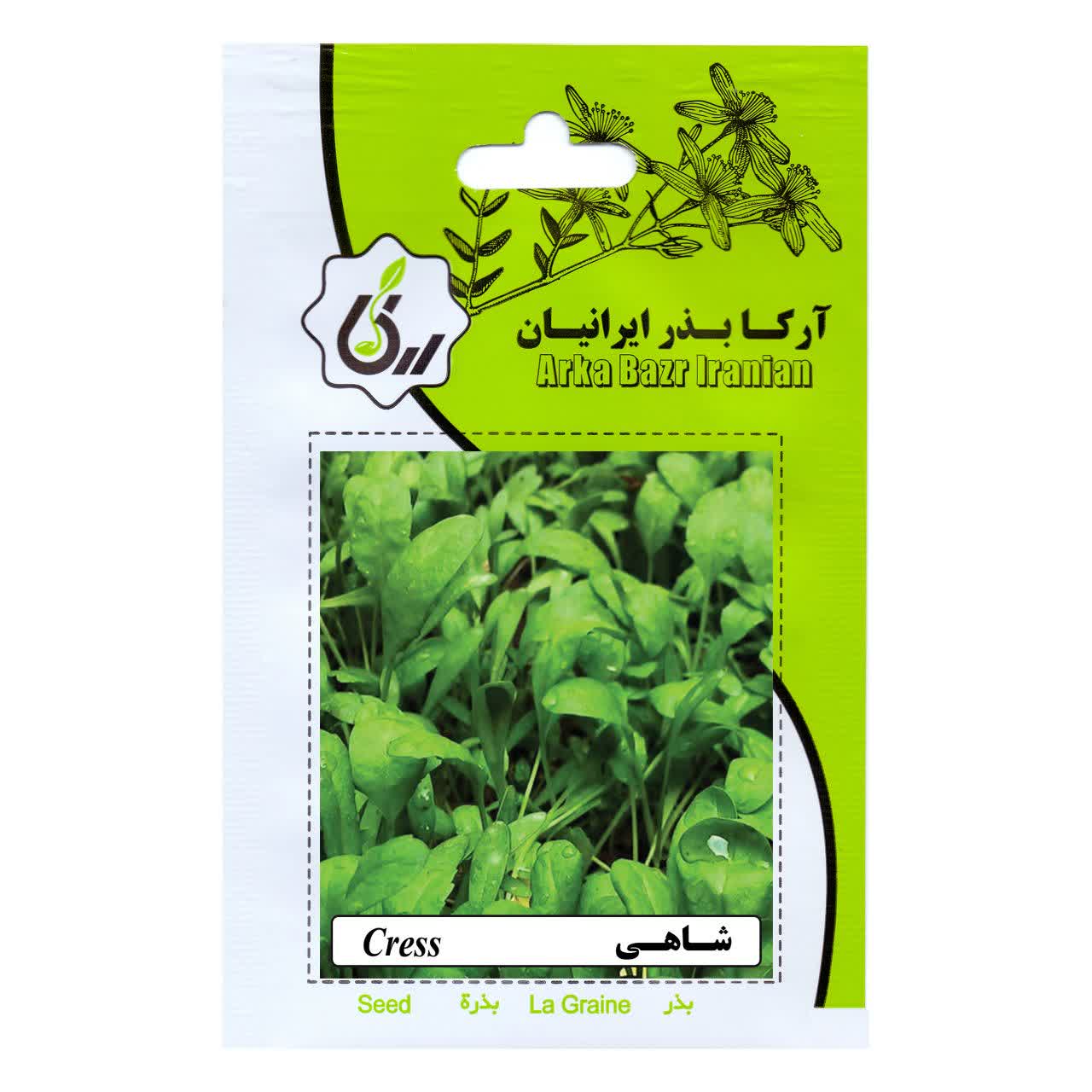 بذر شاهی