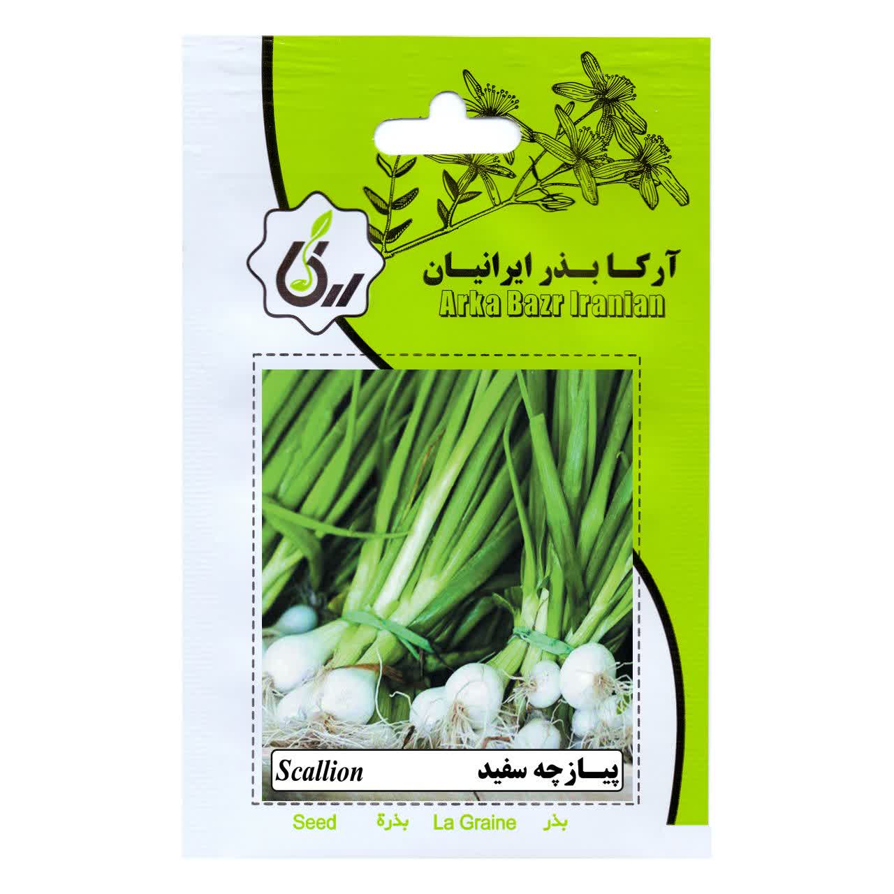 بذر پیازچه سفید