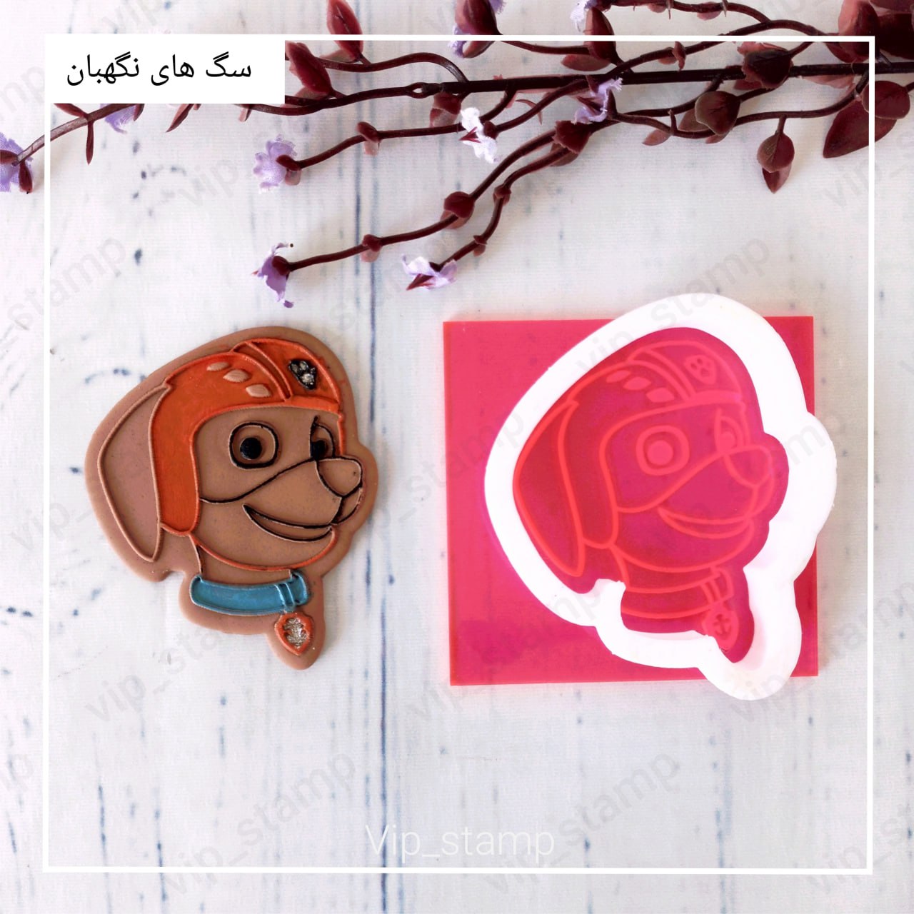 استامپ و کاتر زوما2