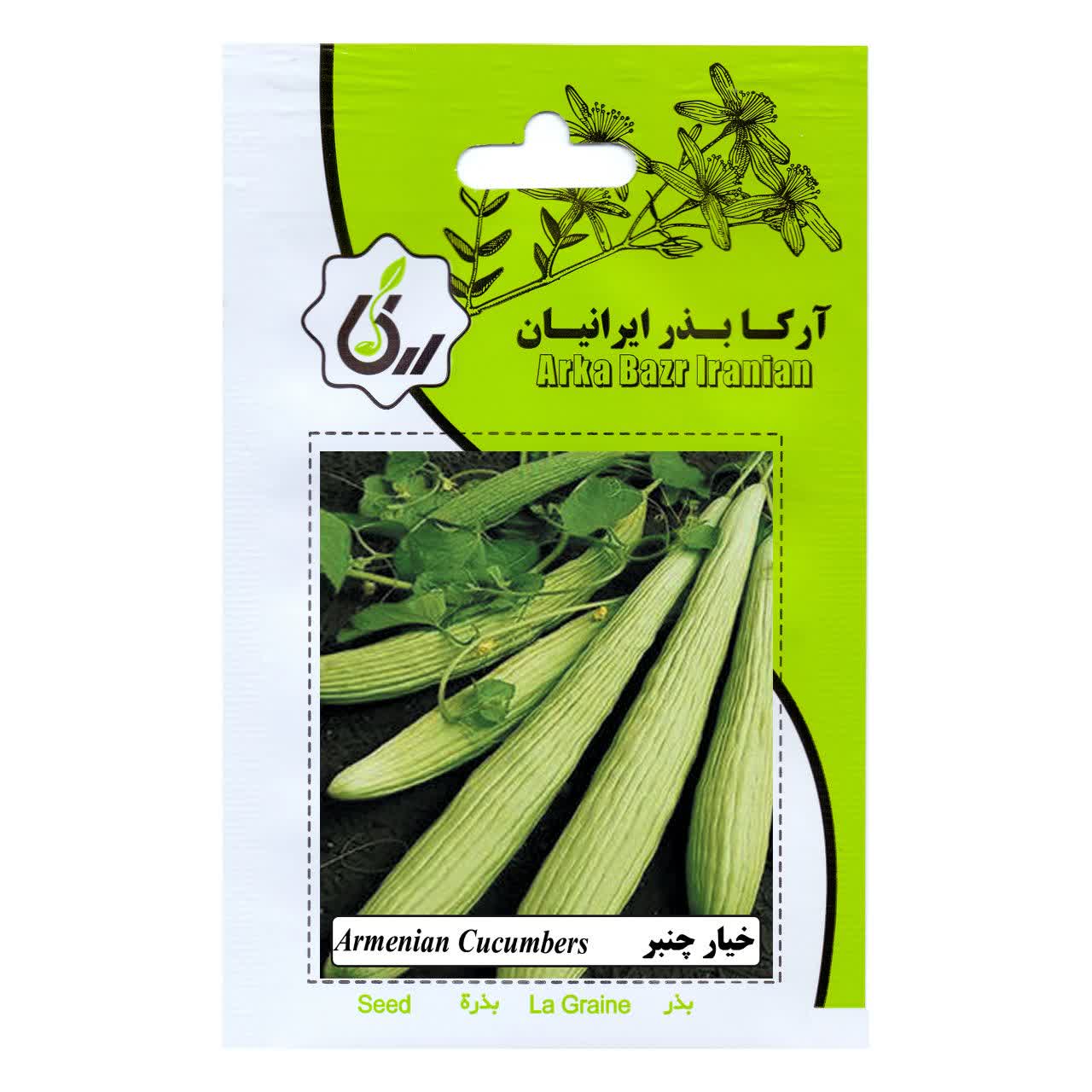 بذر خیار چنبر
